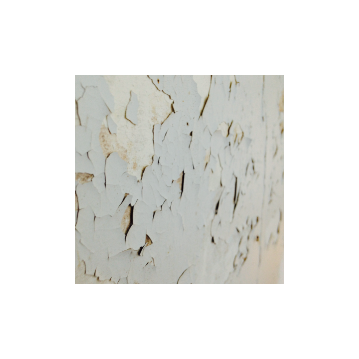 Analyse de plomb total